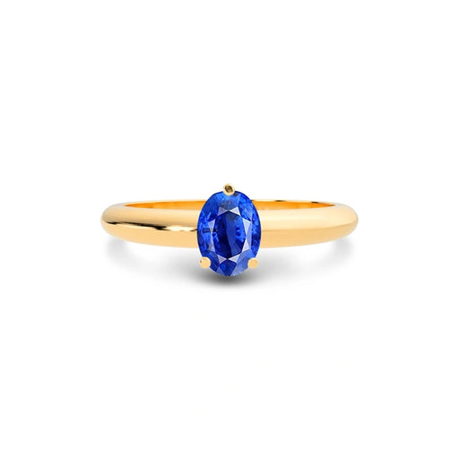 Blue Sapphire Panchdhatu Ring R13