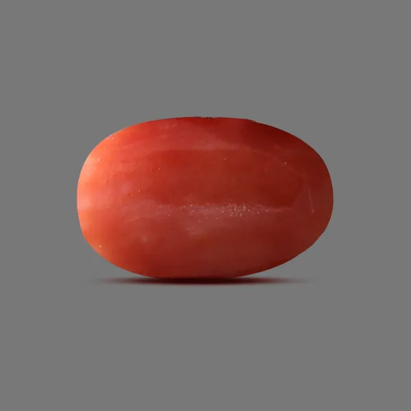 Japanese Red Coral - 11.20 carats