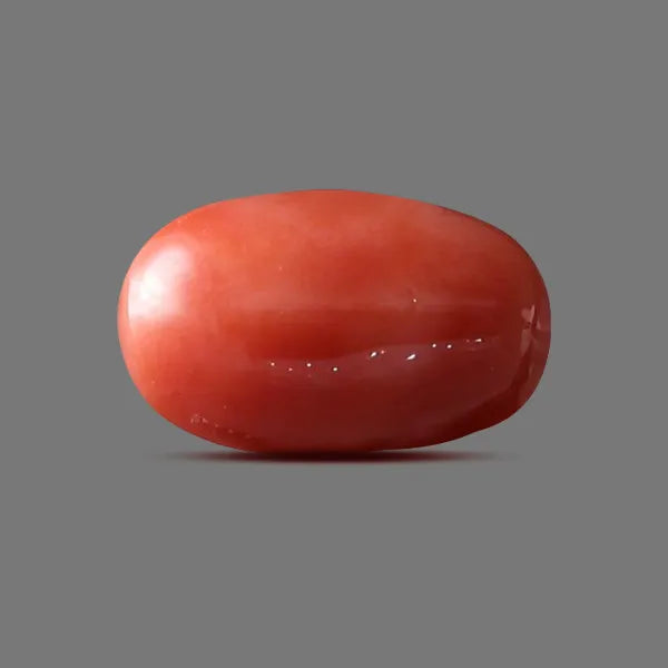 Japanese Red Coral - 11.20 carats