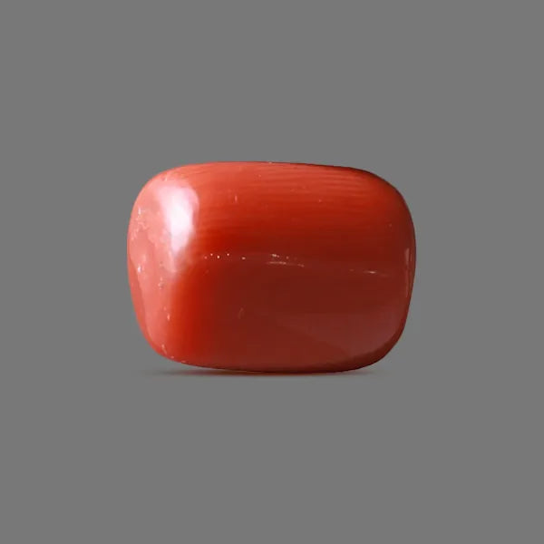 Red Coral - 14.40 carats