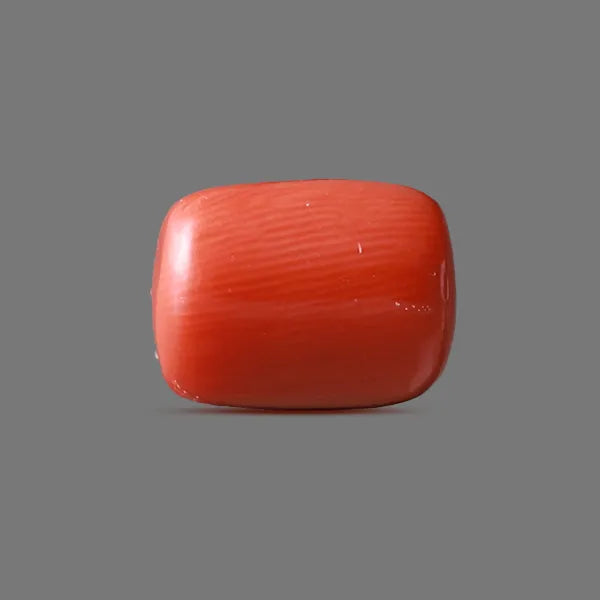Red Coral - 14.40 carats