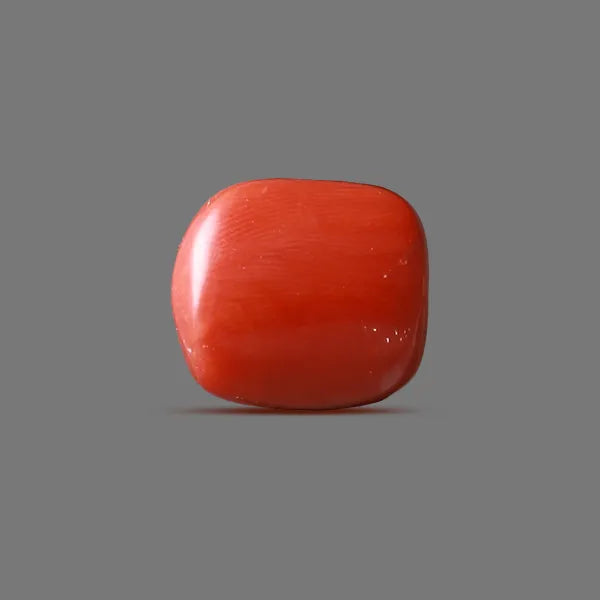 Red Coral - 15.12 carats