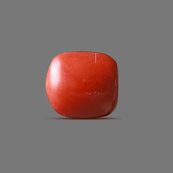 Red Coral - 15.12 carats