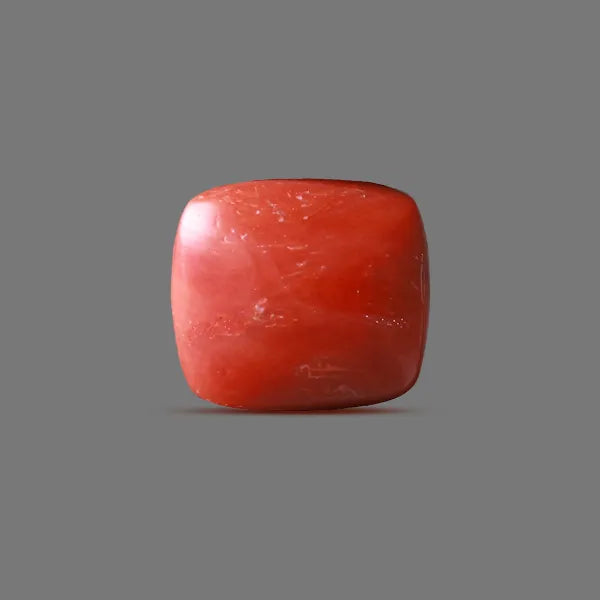 Red Coral - 16.20 carats