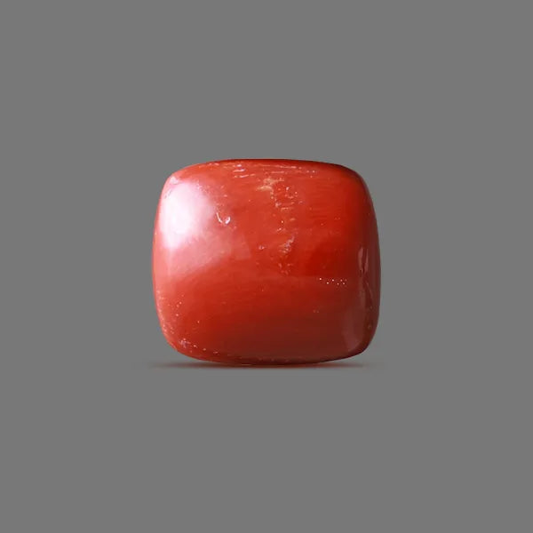 Red Coral - 16.20 carats