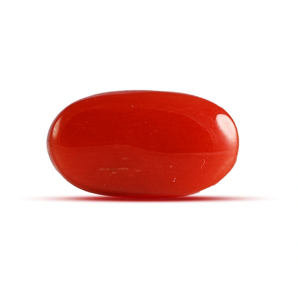 Red Coral - 3.42 carats