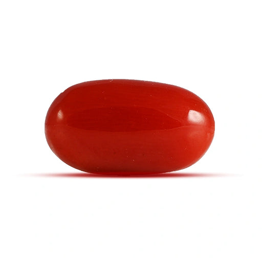Red Coral - 3.42 carats