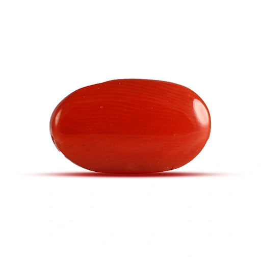 Red Coral - 3.66 carats