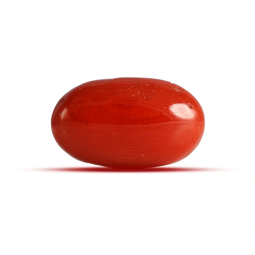 Red Coral - 3.66 carats