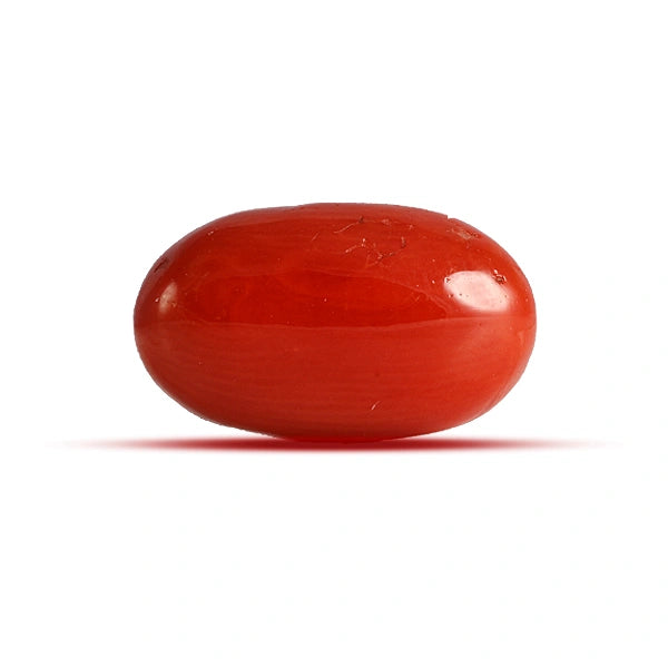 Red Coral - 3.66 carats