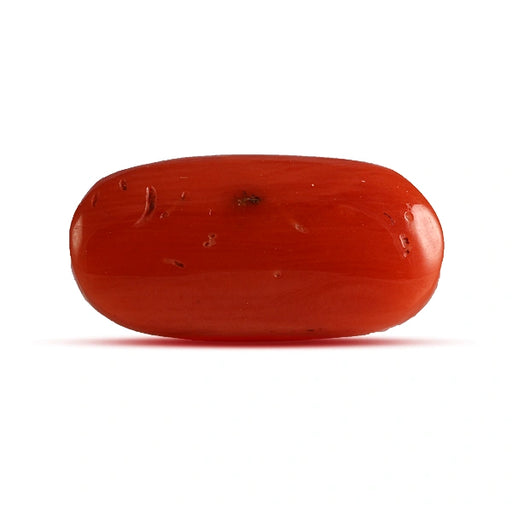 Red Coral - 3.91 carats