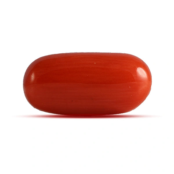Red Coral - 3.91 carats