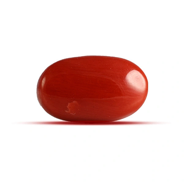 Red Coral - 4.08 carats