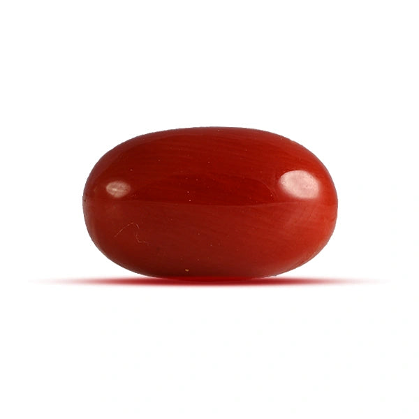 Red Coral - 4.08 carats