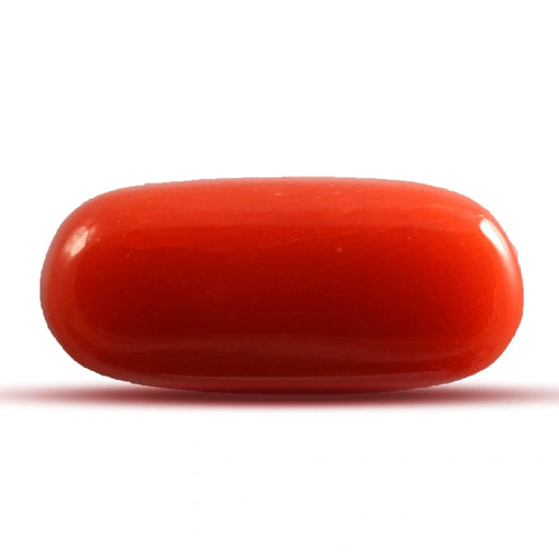Red Coral - 4.14 carats