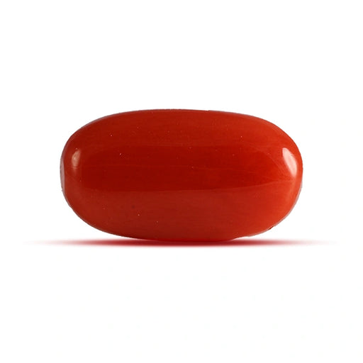 Red Coral - 4.32 carats