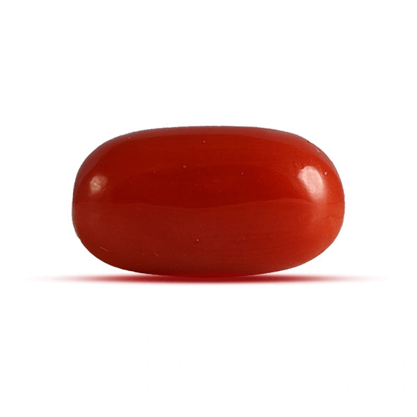 Red Coral - 4.32 carats