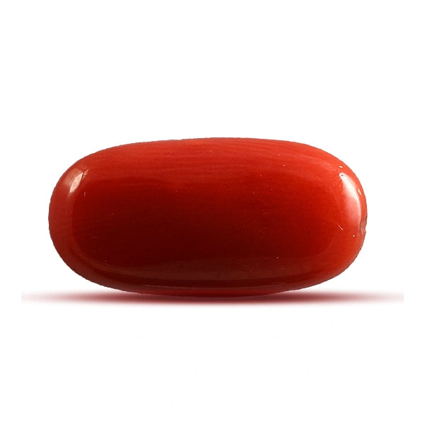 Red Coral - 4.47 carats