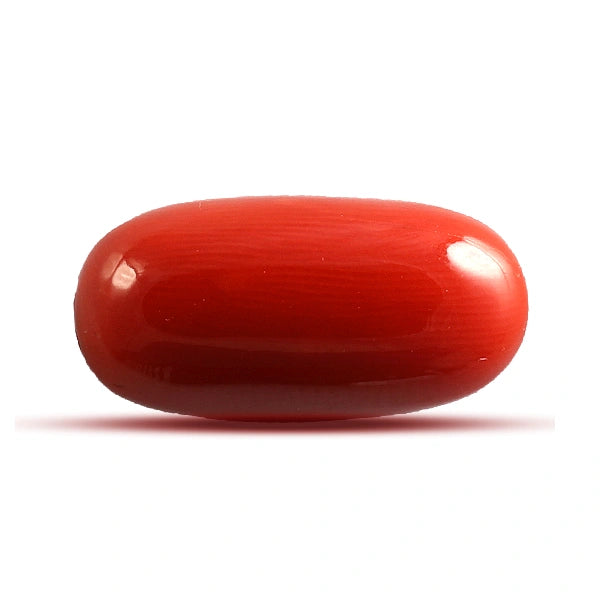 Red Coral - 4.47 carats