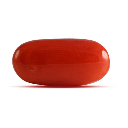 Red Coral - 4.48 carats