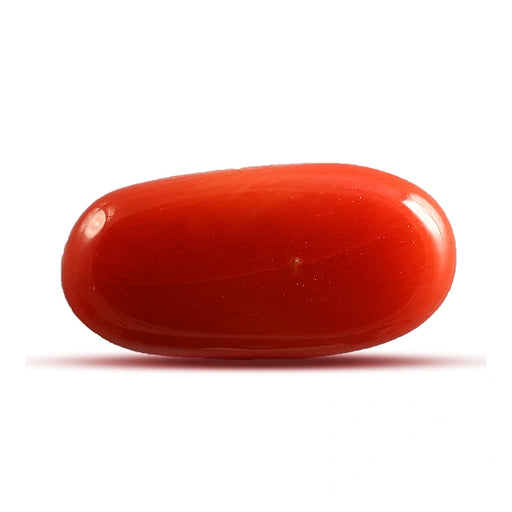 Red Coral - 4.48 carats