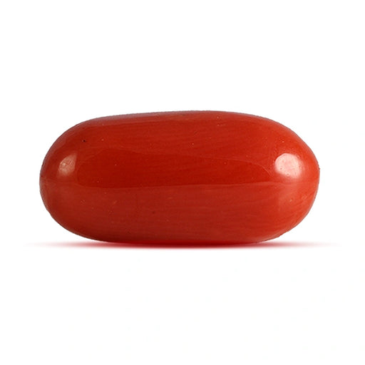 Red Coral - 4.48 carats