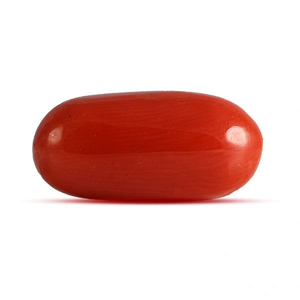 Red Coral - 4.48 carats