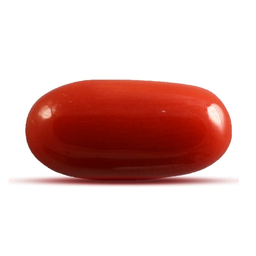 Red Coral - 4.48 carats
