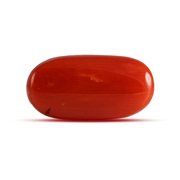 Red Coral - 4.53 carats