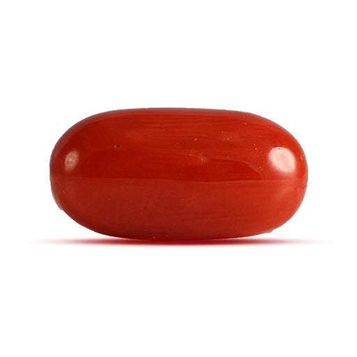 Red Coral - 4.53 carats