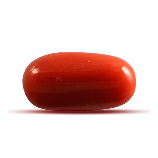 Red Coral - 4.54 carats