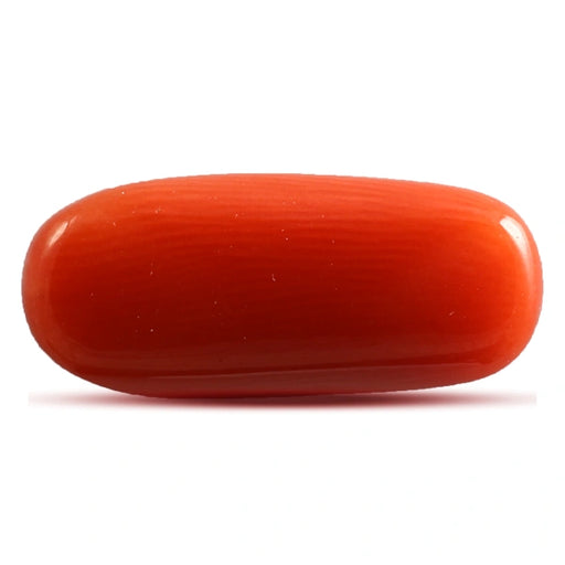 Red Coral - 4.58 carats