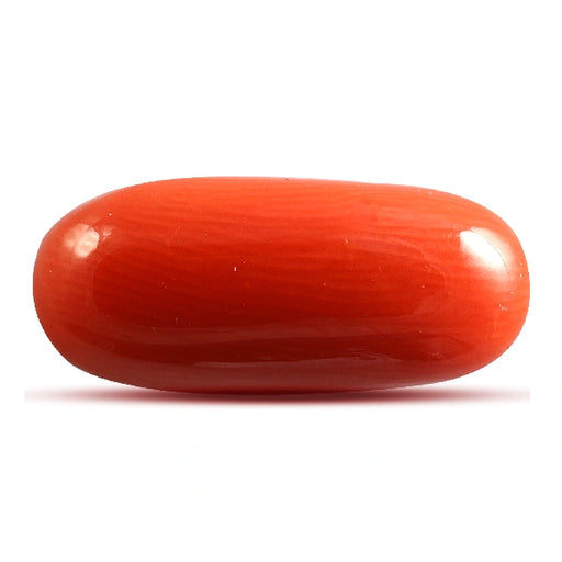 Red Coral - 4.58 carats