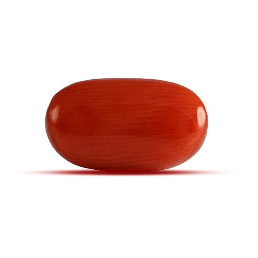 Red Coral - 4.59 carats