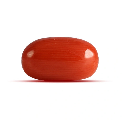 Red Coral - 4.59 carats