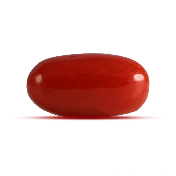 Red Coral - 4.60 carats