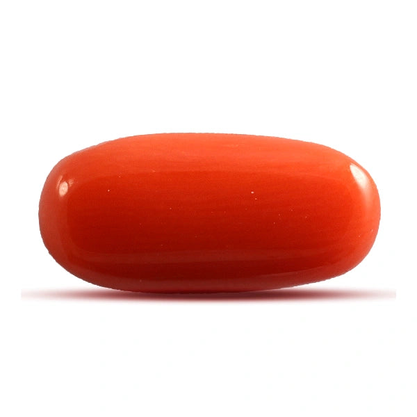 Red Coral - 4.63 carats