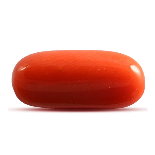 Red Coral - 4.68 carats