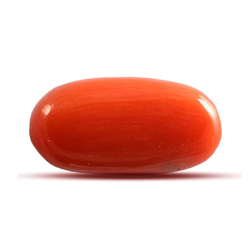 Red Coral - 4.78 carats