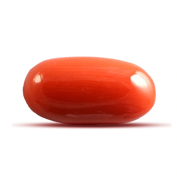 Red Coral - 4.78 carats