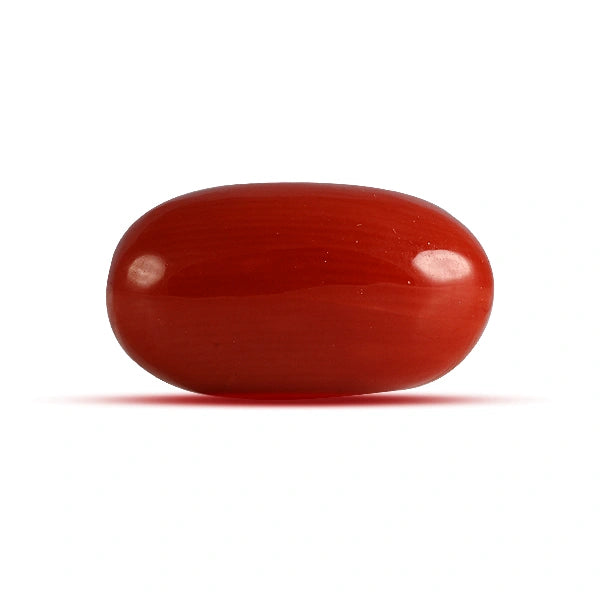 Red Coral - 4.85 carats