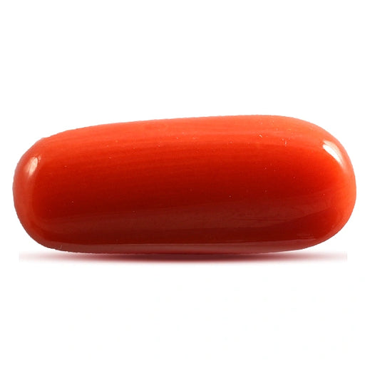 Red Coral - 5.08 carats