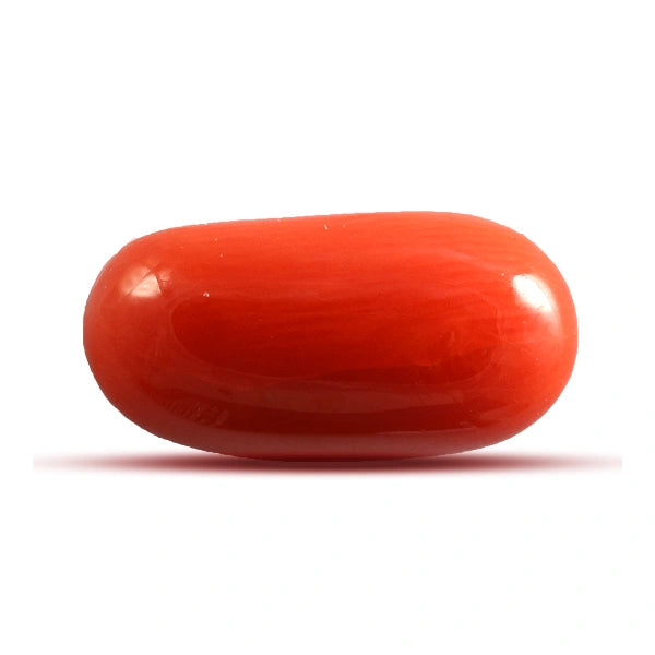 Red Coral - 5.09 carats