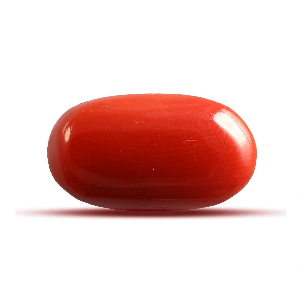 Red Coral - 5.69 carats