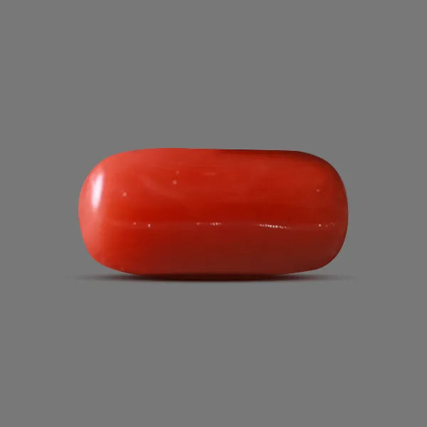 Red Coral - 6.10 carats