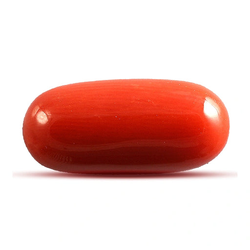 Red Coral - 6.17 carats