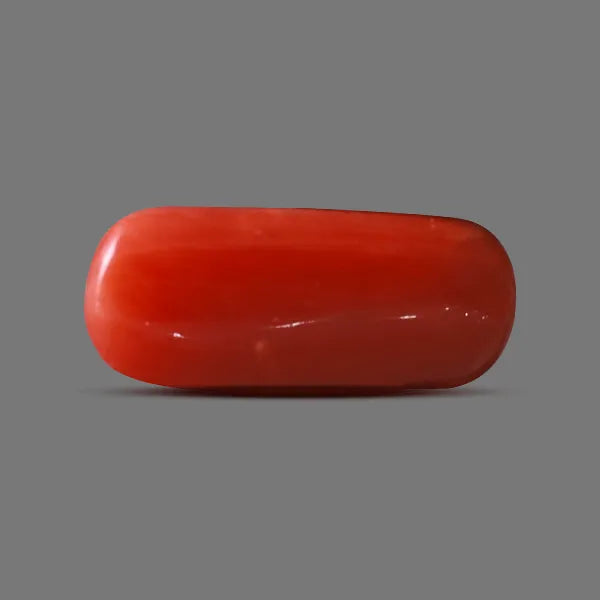 Red Coral - 6.19 carats