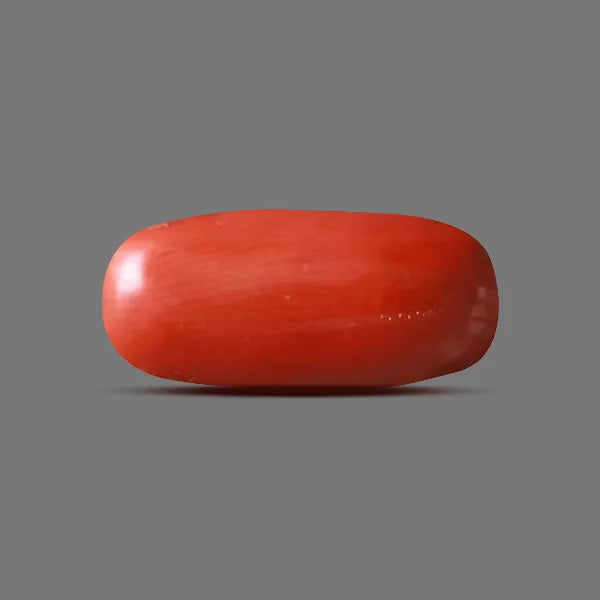 Red Coral - 6.37 carats