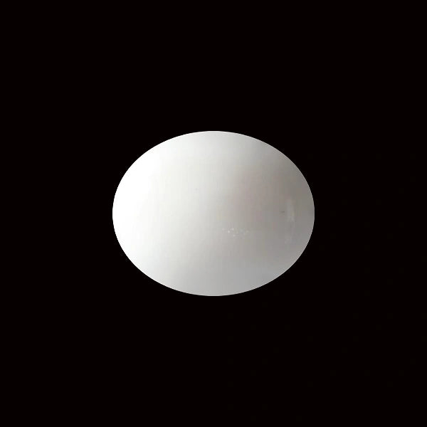 White Coral - 5.41 carats