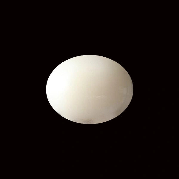 White Coral - 5.54 carats